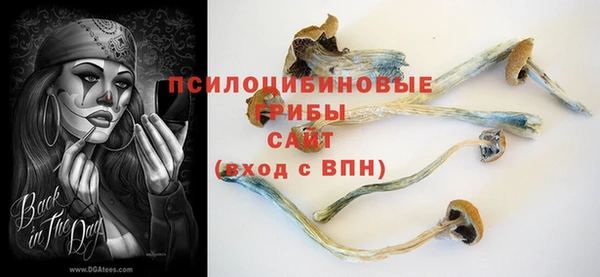 амфетамин Богородск