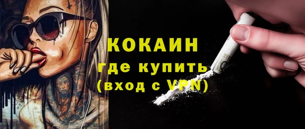 ПСИЛОЦИБИНОВЫЕ ГРИБЫ Богданович