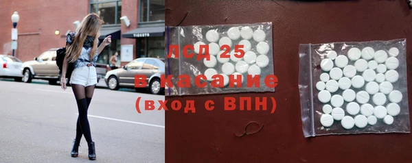 ПСИЛОЦИБИНОВЫЕ ГРИБЫ Богданович