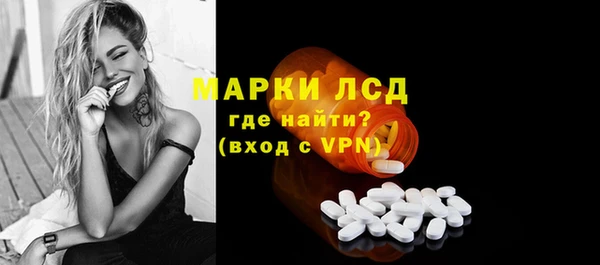 ПСИЛОЦИБИНОВЫЕ ГРИБЫ Богданович