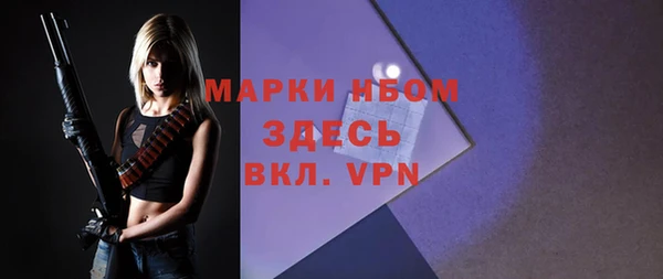 ПСИЛОЦИБИНОВЫЕ ГРИБЫ Богданович