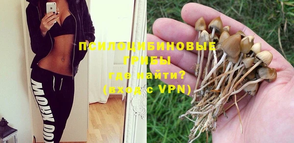 ПСИЛОЦИБИНОВЫЕ ГРИБЫ Богданович