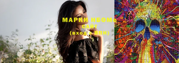 ПСИЛОЦИБИНОВЫЕ ГРИБЫ Богданович