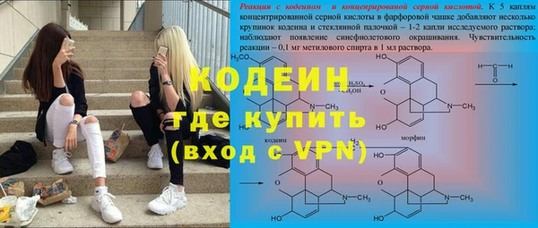 ПСИЛОЦИБИНОВЫЕ ГРИБЫ Богданович