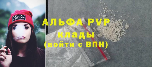 ПСИЛОЦИБИНОВЫЕ ГРИБЫ Богданович
