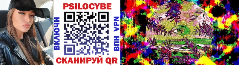 Галлюциногенные грибы Psilocybine cubensis  Светогорск 